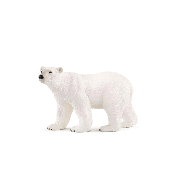 Bilde av Schleich - Figur - Isbjørn