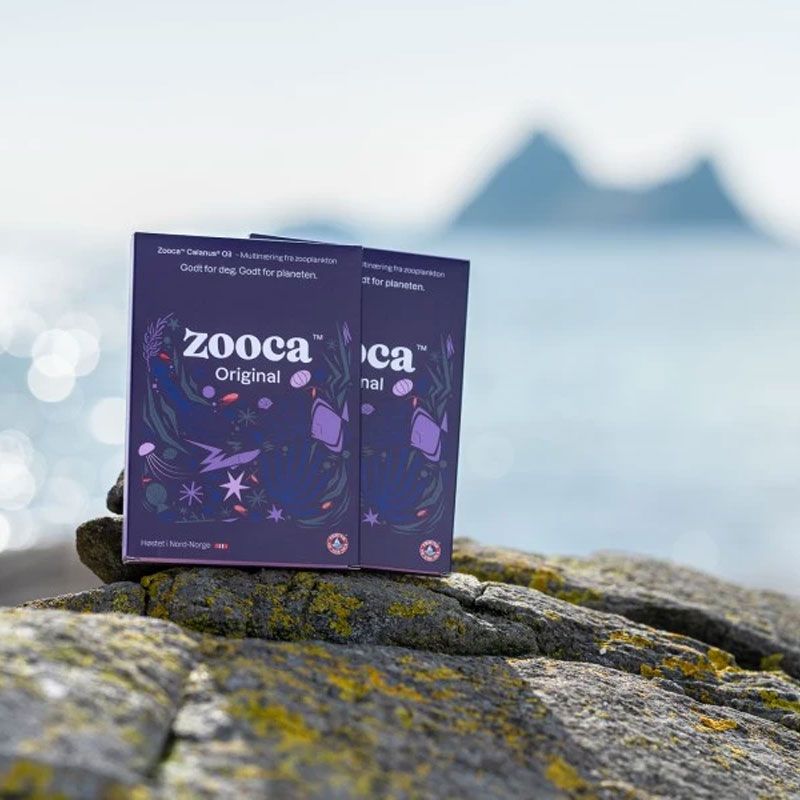 Zooca Original