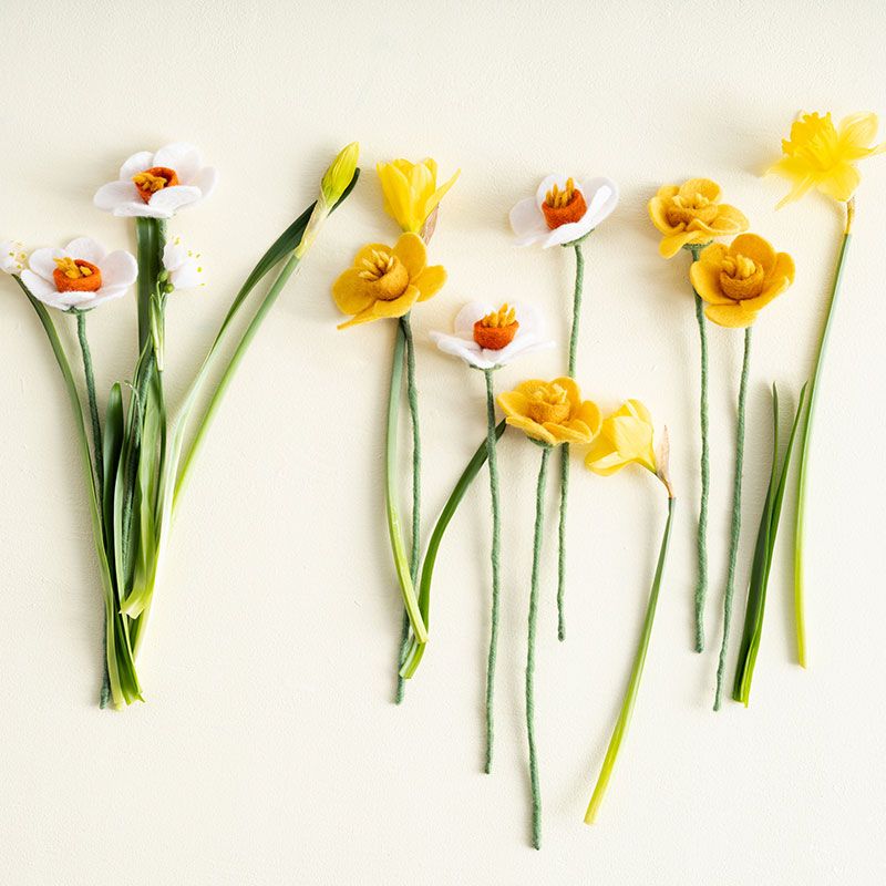 Aveva - Endless flower - Påskelilje raspberry