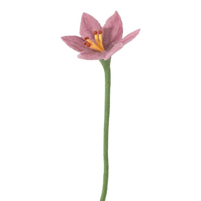 Hovedbilde Aveva - Endless flower - Lily pale pink