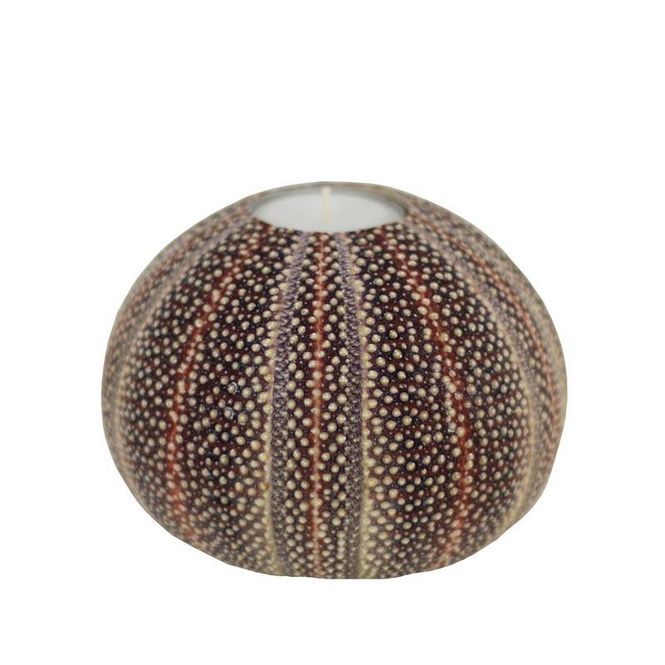 Hovedbilde Nyt Lofoten - Kråkebollelys stor