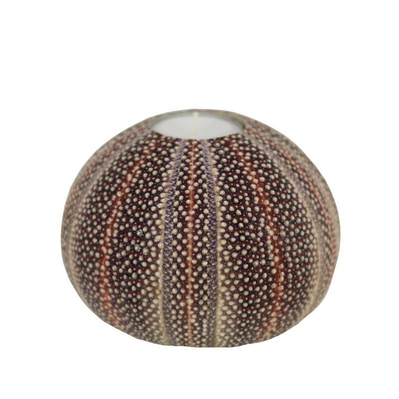 Nyt Lofoten - Kråkebollelys stor