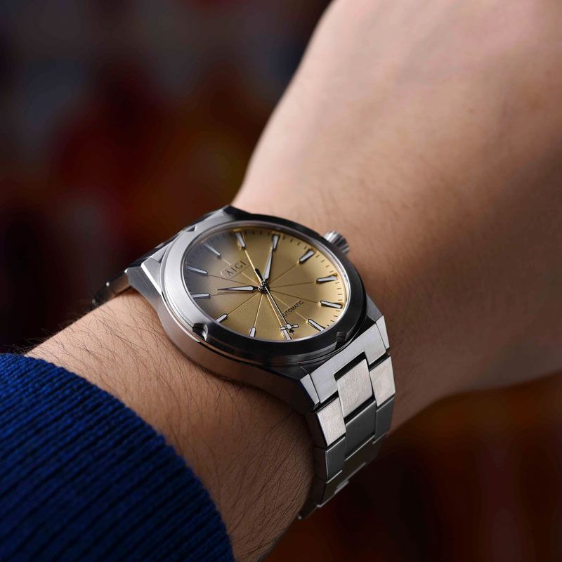 ÁIGI - Satellite Ground Station II - Gull