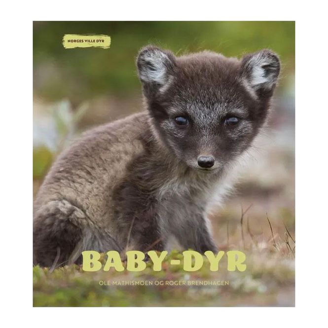 Hovedbilde Norges ville dyr - Baby-dyr