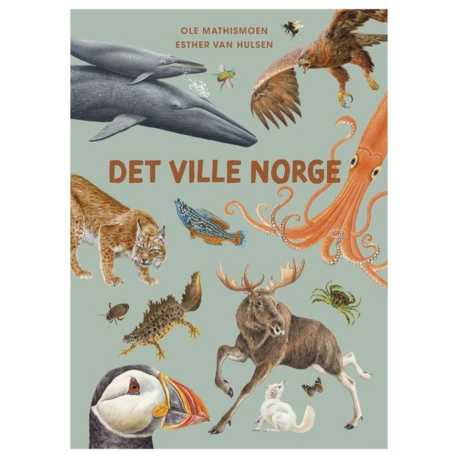 Hovedbilde Det ville Norge