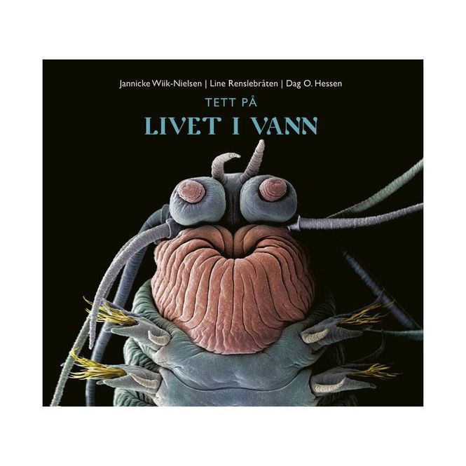 Hovedbilde Tett på livet i vann