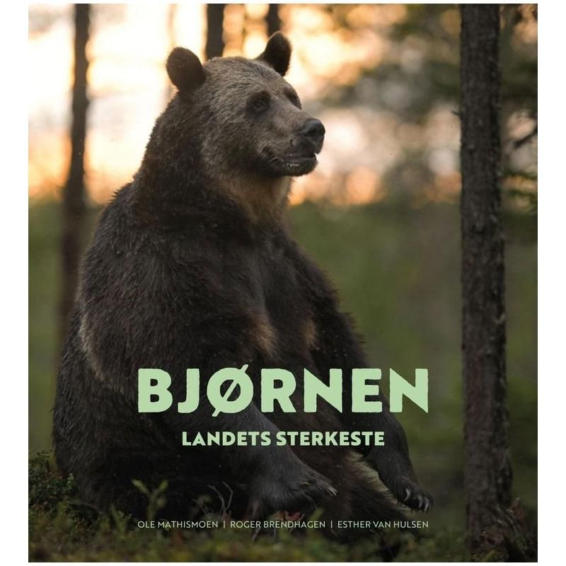Norges ville dyr - Bjørnen
