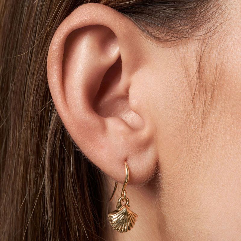 A&C - Aquatic små øredobber med krok - Skjell